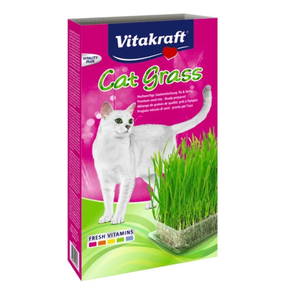 CAT GRASS HIERBA 120 GR - Piensa en Pienso