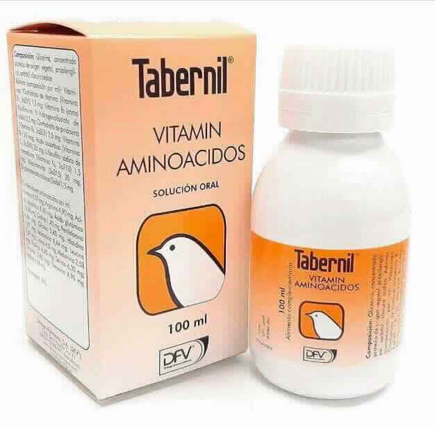TABERNIL VITAMIN AMINOACIDOS 100 ML