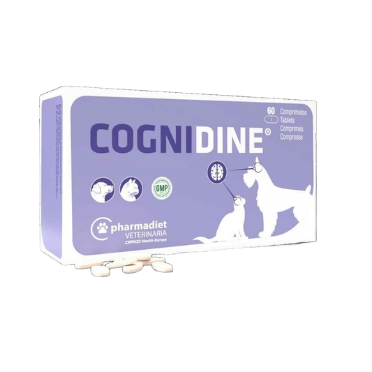 COGNIDINE 60 CP