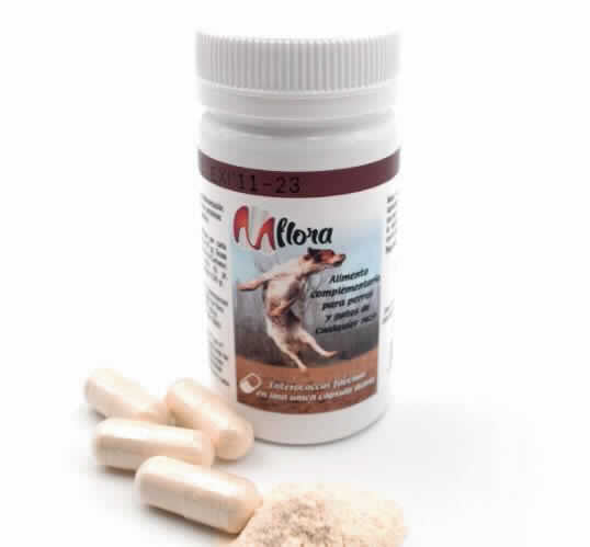 MFLORA CANINE 15 CAPSULAS X 1 GR. - Piensa en Pienso