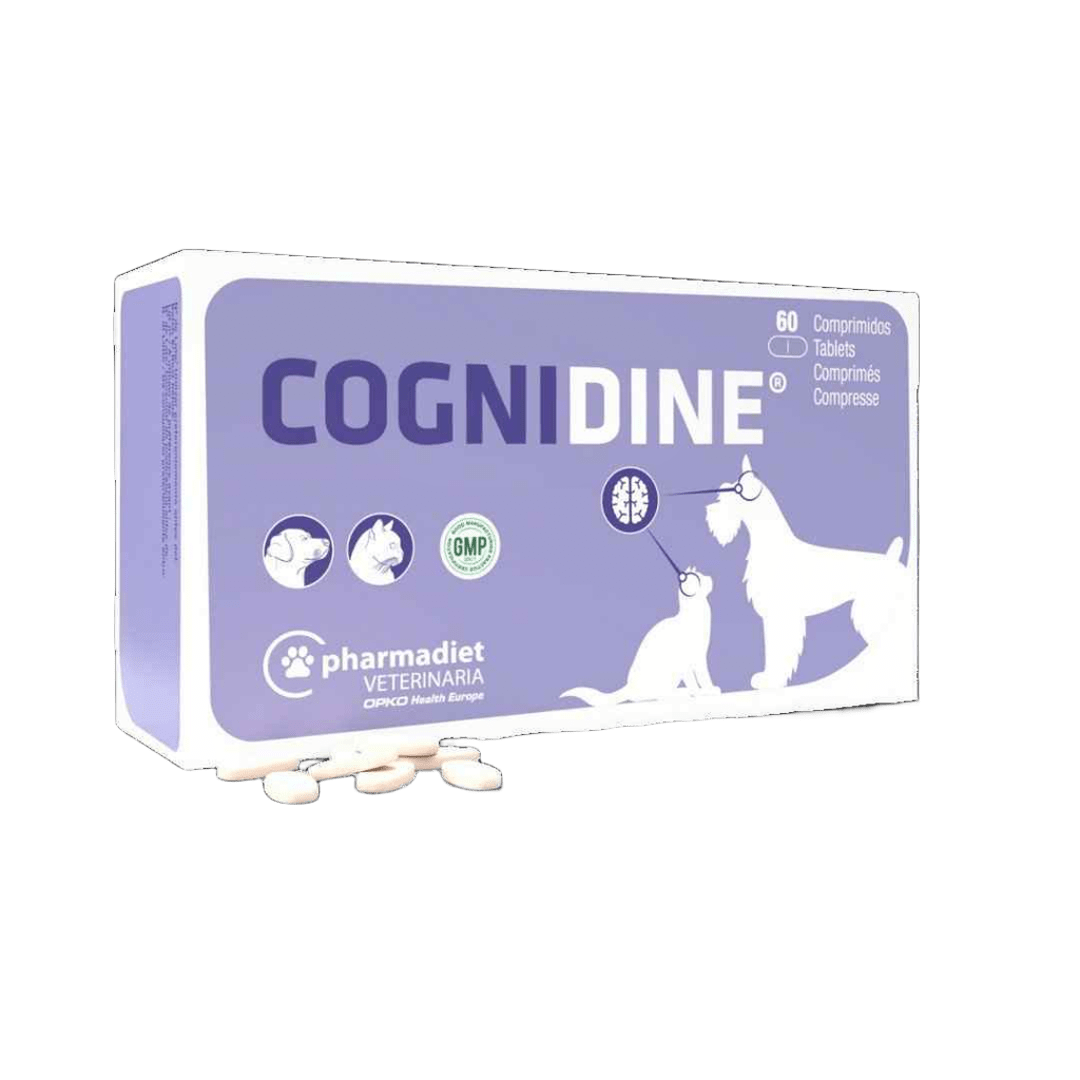 COGNIDINE 60 CP
