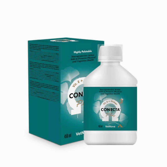 CONECTA PLUS 450 ML