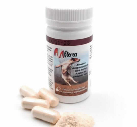 MFLORA CANINE 15 CAPSULAS X 1 GR. - Piensa en Pienso