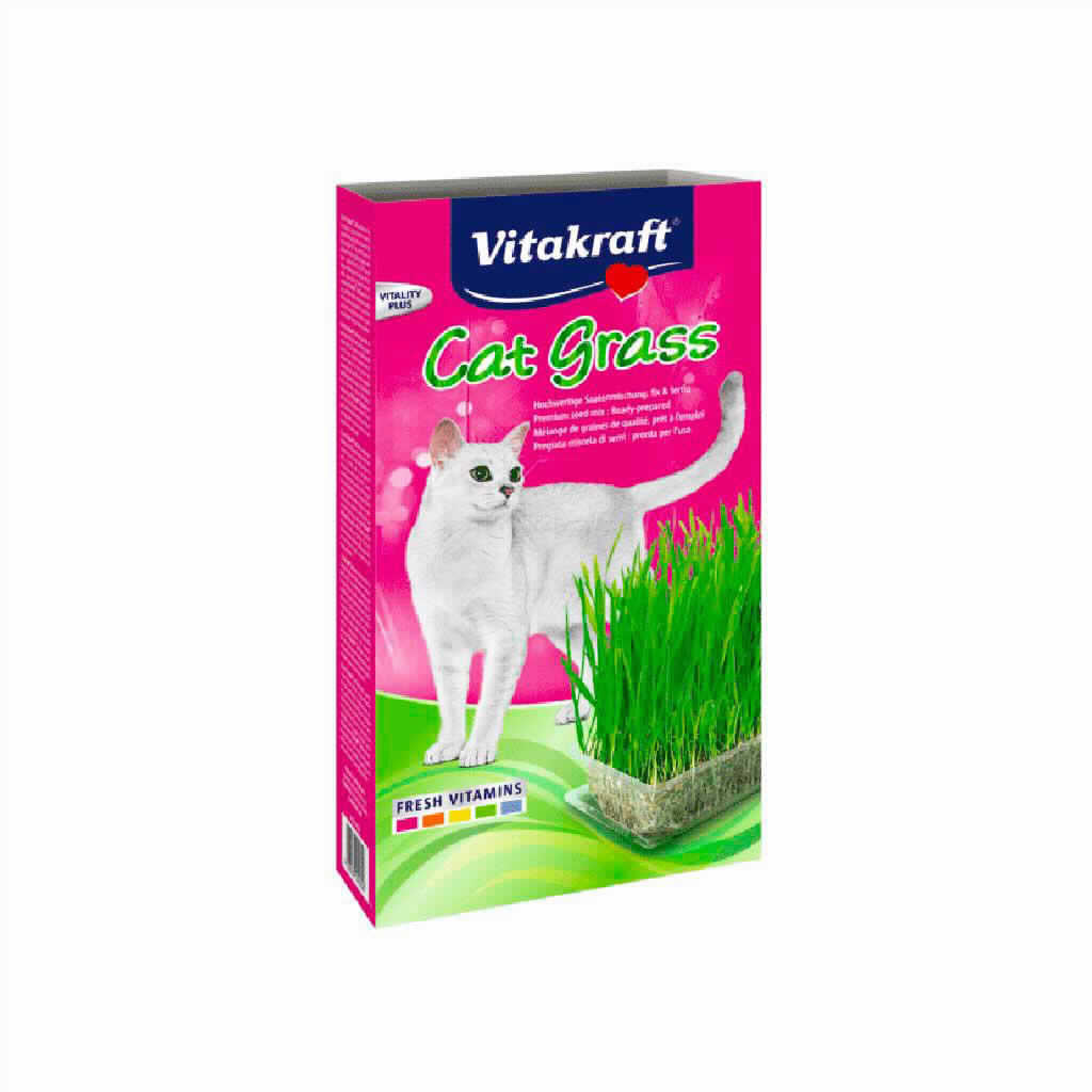CAT GRASS HIERBA 120 GR